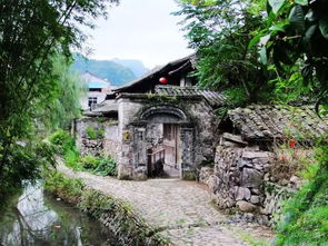 交通住宿气死强迫症