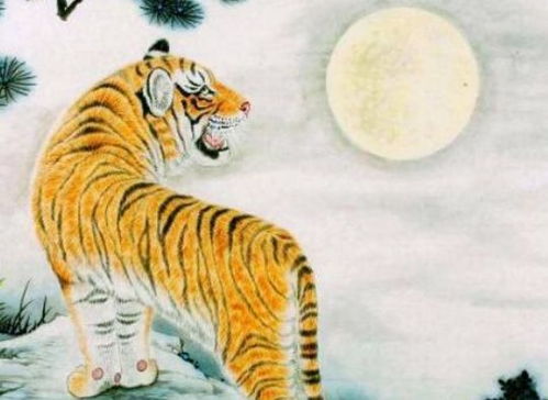 将毫不经意打一生肖，这究竟是什么生肖呢？