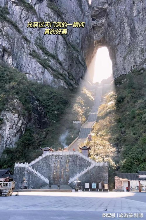 第五天：返程 & 较小结——怎么把这趟烂旅变成宝藏？