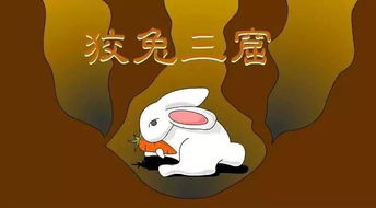 ④ 兔子逃不掉的幻药：致幻剂与先天心脏病的致命配方