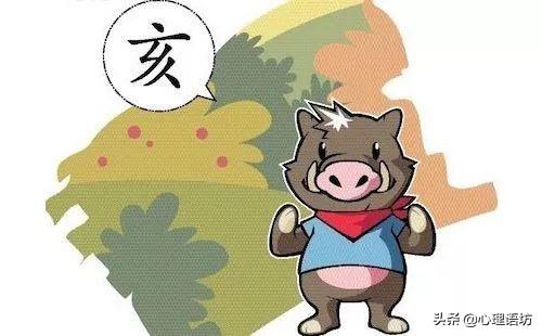 2019年出生属猪的人，2026年的运势和运程以及2026年出生属猪的人2019年的运势分别是什么？