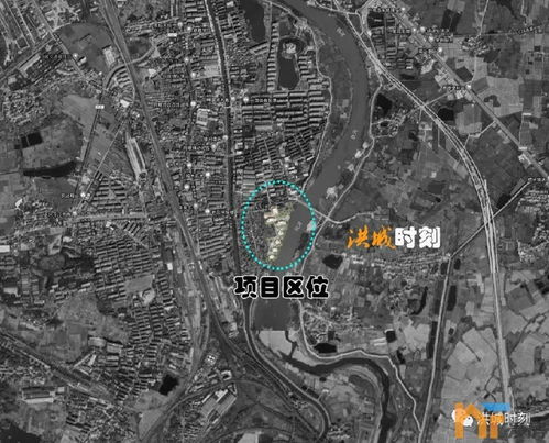 特色活动：从婚礼歌到摇滚演唱会