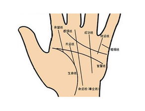 智慧线：越复杂越聪明？骗鬼呢！