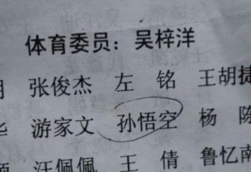 万姓独一无二的名字：一场别样的命名探索