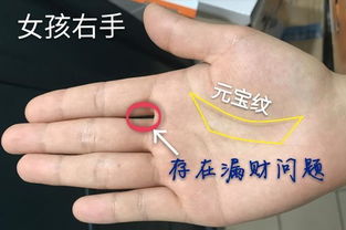 手相区域与 元宝纹 的结合（更瞎编了）