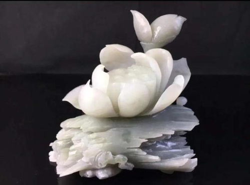 莲花是什么生肖？莲花打一生肖是什么生肖的意思？