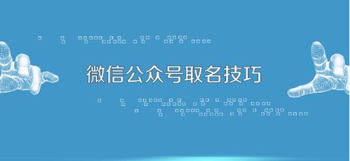 有哪些好听的公众号名字可依参考？