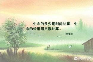 生命如此较短暂， 却又如此漂亮
