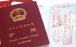 四、 新加坡旅游签证需要哪些材料？（清单来了！）