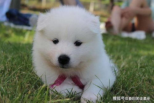 巨蟹座 & 金牛座：居家好男人/好女人必备