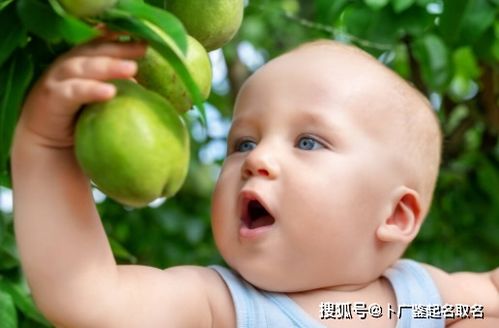 震惊！水果居然还能这么用？给男宝起小名的奇葩操作大公开