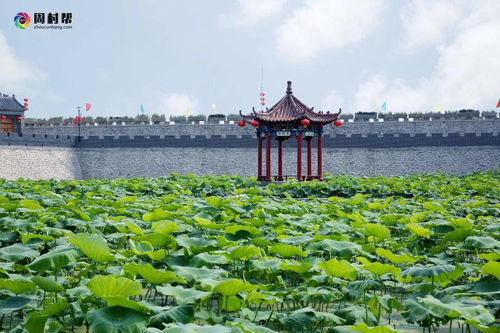 玉黛湖？就是个水坑！
