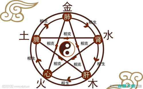 如何根据八字判断五行属性，并计算八字中五行所占比例？