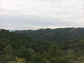 风景与文化底蕴——乱七八糟版块（不保证顺序）(随意)