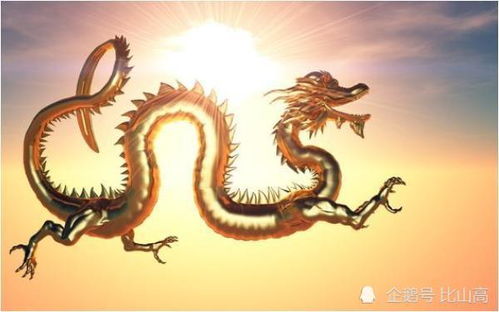 属龙的人的十二生肖运势具体是怎样的？
