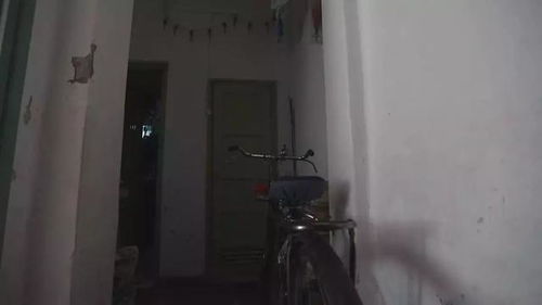笑声开始出现