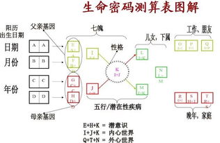 手机号算吉凶的原理是什么？