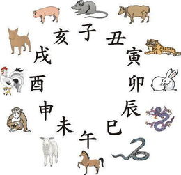 哪个生肖被认为本领高强，看谁有本领指的是哪种生肖？
