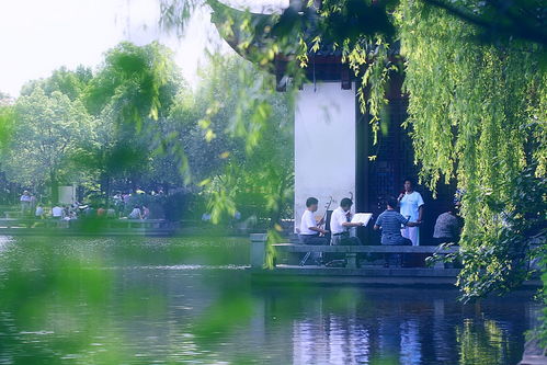 随手记（乱七八糟）