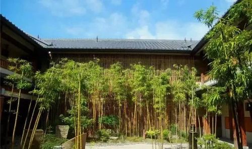 血泪总结：三大防坑秘籍