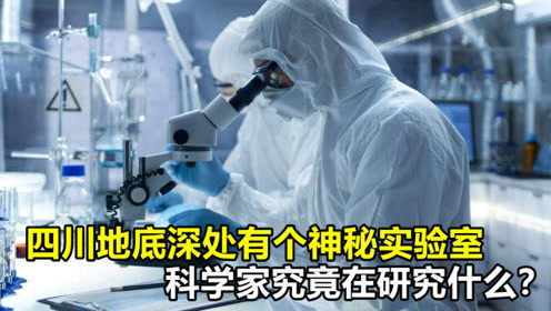 星象初现：十二宫的异动