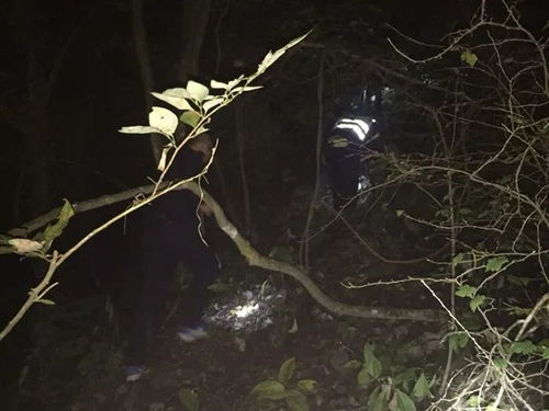 禁忌之地