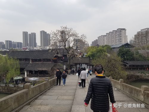 住哪：桥洞考虑下