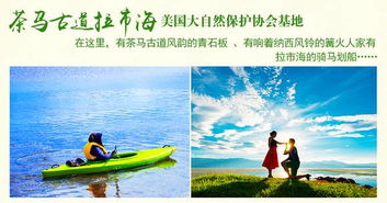 五、 旅途中的意外惊喜——随机事件生成器（不保证真实实性）