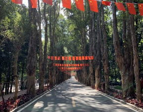 森林博物馆：冷气开得像不要钱