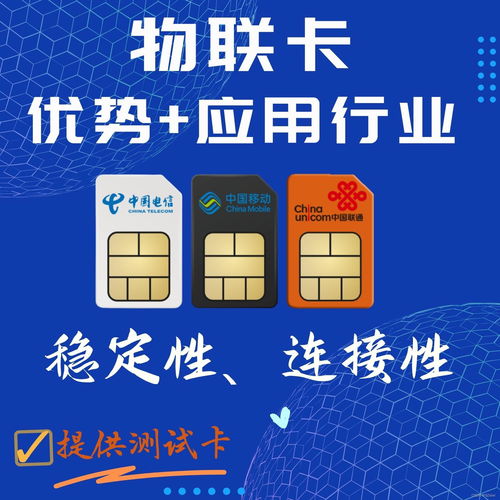 海南旅游新风尚：双卡资源引领潮流