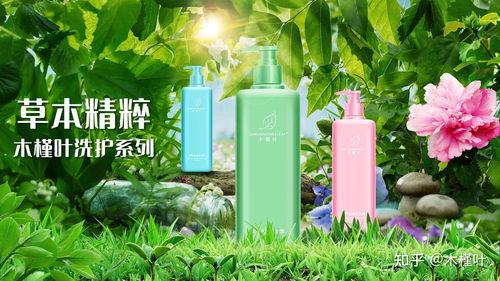 千年浪漫七夕洗头，木槿叶洗发新潮流！