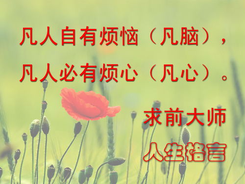 如何系统地学习风水，从哪个阶段开始学习风水知识？