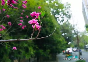技巧篇：怎样打造属于你个人风格标签？