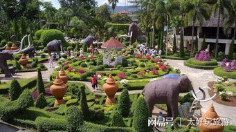 四方水上市场：大型诈骗现场