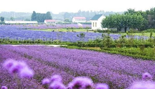 关于吃的那些糟心事