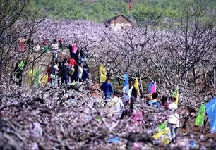 三、全程自驾+徒步混搭（不靠谱指南）