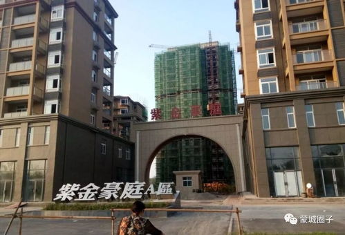 一、 梦蝶绿苑：从尘埃中绽放