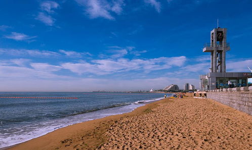 日照东港景区：海洋材料的丰有钱体验（其实就是卖海鲜）