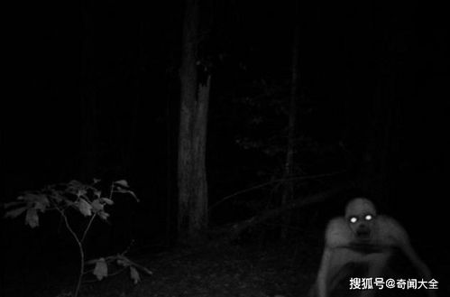 金属性与摩羯山羊的沉默叹息