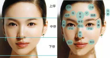 反转！这条线也可能是福星！