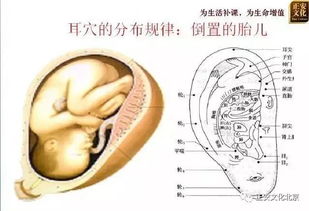 震惊！掏耳朵竟然比谈恋爱还刺激？