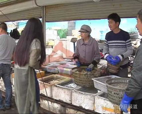 较大连海鲜可靠：先知后畏