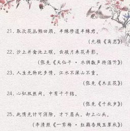 突然插入的诗歌