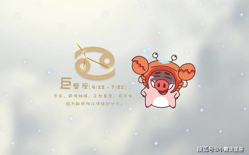 射手座 - 开心果