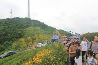 中午：沿途风景