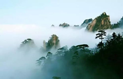 黄山：凌晨三点的