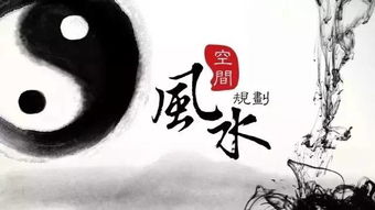 曾文辿风水故事,风水大师曾文迪