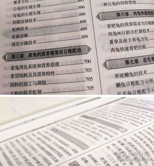 贩猪买羊签解中，猪羊交易的具体流程是怎样的？