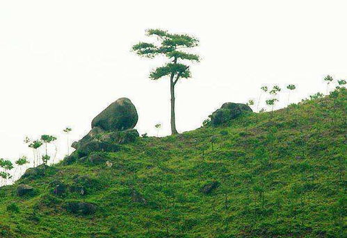 风水村の前世今生：比甄嬛传还刺激