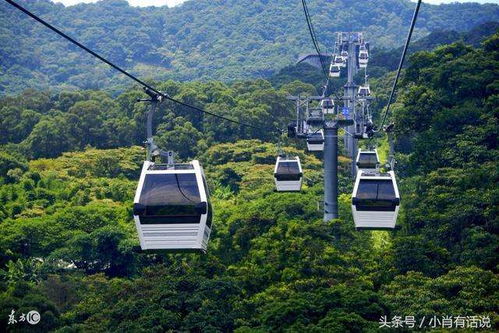 花园阁湿地：鸟比人多！吵死了！
